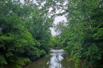 The Little Issues Publication #478 – Life, laughter, plenty of nice meals!