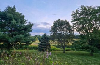 The Little Issues Publication #485 – Life, laughter, and many nice meals!