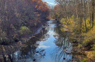 The Little Issues Publication #497 – Life, laughter, and many nice meals!