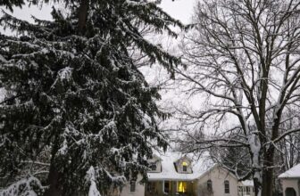 The Little Issues Publication #498 – Life, laughter, and many nice meals!