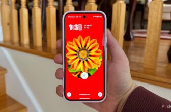 I at all times replace my smartphone immediately