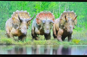 This LG TV is huge on vivid colours however lacks particulars at nighttime