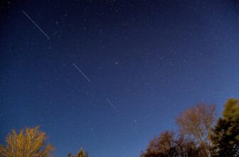 Starlink is reducing hundreds of satellites’ orbits to scale back danger of collisions