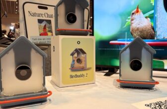 Birdbuddy’s new good fowl feeder can ID birds by their songs