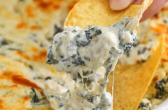 12 Greatest Get together Appetizer Dips